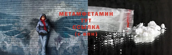 прущие грибы Беломорск