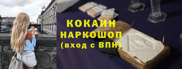 прущие грибы Беломорск