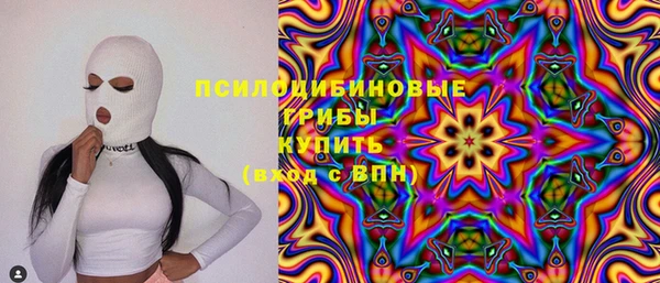 сатива Пестово
