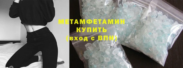 прущие грибы Беломорск