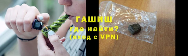 прущие грибы Беломорск