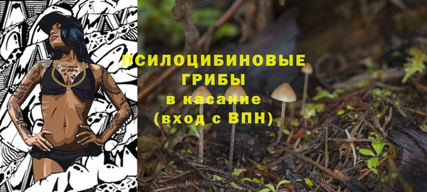 гашик Белокуриха