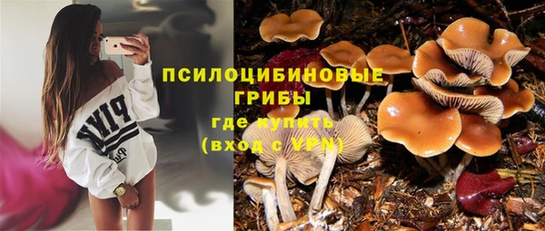 гашик Белокуриха