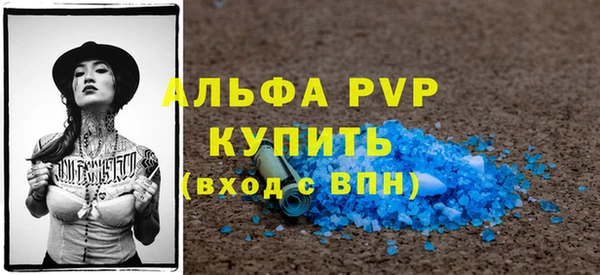 прущие грибы Беломорск