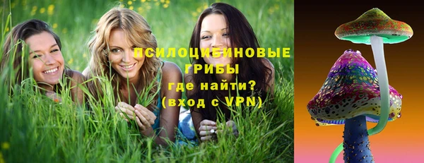 гашик Белокуриха