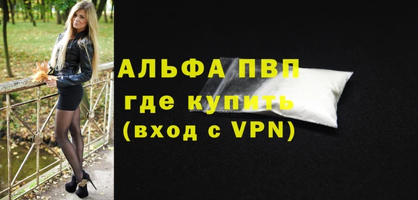 прущие грибы Беломорск